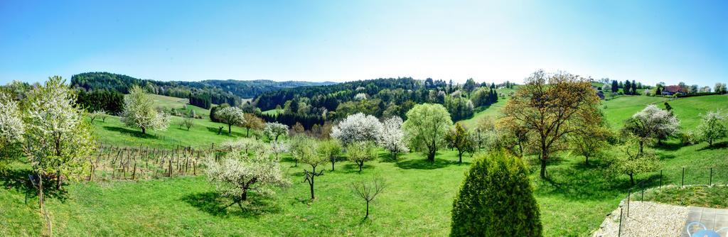 Golf & Thermenland Sonnenpension Fruehstueckshotel Burgauberg Stegersbach Exterior photo